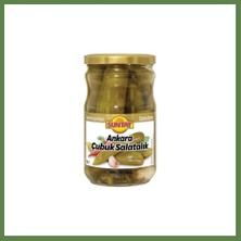 Bezos Suntat Çubuk Turşu 660 gr HB006