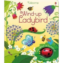 Moki Wind Up Ladybird