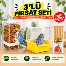 Akıllı Kuş Yemliği - Kuş Banyosu ve Quik Kumlu Tünek 4’lü | Muhabbet Kuşu Kafes  Aksesuarları