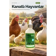 Kanatlı Hayvanlar İçin Probiyotikli Metabolizma Düzenleyici 100 ml – Vetorin Wingpro+