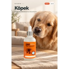Pet Hayvanları İçin Probiyotikli Metabolizma Düzenleyici 100 ml – Vetorin Pet Pro+