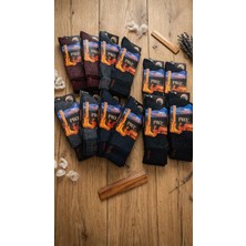 Pro Eskimo Havlu Lambswool (Yün) Thermal Erkek Çorap; Asorti 12'li Paket 41-45