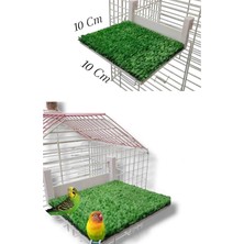 Salıncak Kuş Yatağı Küçük Boy Kafes Içi Kafes Dışı Askılı Model Yapay Çim Destekli (10X10 Cm)