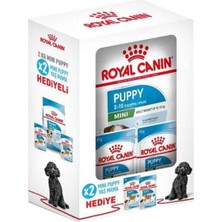 Odea Tr Mini Puppy Küçük Irk Yavru Köpek Maması, 2 Kg, 2 Adet