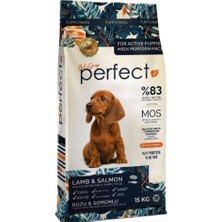 Odea Tr Perfect Kuzu ve Somonlu Yavru Köpek Maması, Yüksek Performanslı,%83 Hayvansal Protein, 15 kg