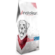 Odea Tr Somonlu Orta ve Büyük Irk Yetişkin Kuru Köpek Maması 18 kg