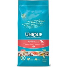 Odea Tr Puppy M&l With Salmon& Anchovy 15 kg