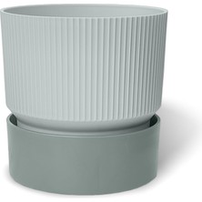 Odea Tr Iksora Saksı Dekoratif Tabaklı Çiçek Kaktüs Saksısı Mat Plastik (1 Adet, Gri, 2 Litre)