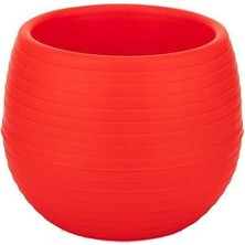 Odea Tr ES01 Elvan Kaktüs, Sukulent Saksısı Tabaklı 6,2cm, 130 Mililitre Kırmızı