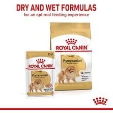 Odea Tr Pomeranian Yetişkin Köpek Konservesi 85 Gram