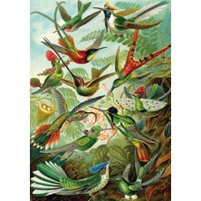 Happy Trend Games 22030 Hummingbirds 1500 Parça Puzzle -Ks