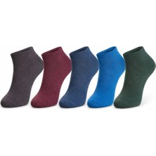 Elivora Erkek Pamuklu Patik Çorap 5'li 39-44 | Dikişsiz Burun, Koku Karşıtı, Nefes Alan Sneaker - Çok Renkli