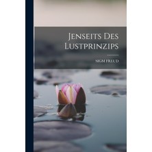 Step Kitap Jenseits Des Lustprinzips