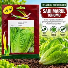 İstanbul Tohumculuk Sarı Marul Tohumu 10 gr