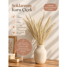 Elpida Bags Bej Tonlarında Dekoratif Kuru Çiçek Buketi