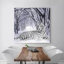 Brf Store Fineveil Stellastore Kaplan Resimli Kanvas Tablo, 30 x 40