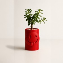 Brf Store Fineveil Emoji Planter – 3D Baskı Göz Kırpan Yüzlü Sukulent Saksısı-Kırmızı
