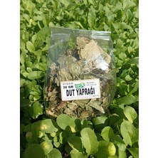 Doğal Hayat Dut Yaprağı 30 gr