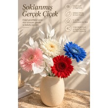 Elpida Bags Premium Şoklanmış Gerçek Çiçek Buketi 4 Renkli Gerbera ve Beyaz Dekoratif Yapraklar