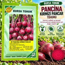 Burgen Tohum Bt Pancina Kırmızı Pancar Tohumu 25 gr
