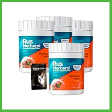 Bezos Playboy Turquoise 4lü Birden Ceviz & Ceviz Sütü Rus Merhemi 50 ml Tüy Dökücü Krem + 1 Armağan Jel Arz