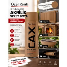 CAXCOLORS Cax Özel Renk Isıya Dayanıklı Akrilik Sprey Boya - Dayanımlı Soba, Mangal, Egzoz Boyası