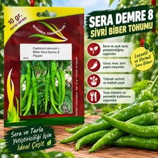 İstanbul Tohumculuk Sera Demre 8 Sivri Biber Tohumu 10 gr
