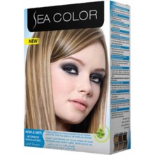 Sea Color Saç Boyası Röfle Seti