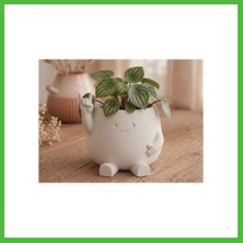 Bezos 3D Baskı Smiley Face Planter - Gülümseyen Karakterli Saksı-Beyaz Arz