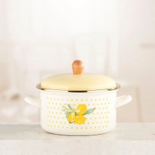 Emiva Home Emaye Derin Tencere 22 cm