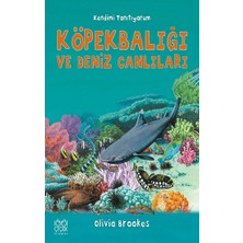 1001 Çiçek Kitaplar Köpekbalığı ve Deniz Canlıları - Kendimi Tanıtıyorum