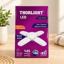 SS Home Concept Papatya 40 W LED Ampul