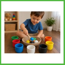 Bezos 3D Baskı Renk Eşleştirme ve Top Yakalama Oyunu - Montessori Eğitici Motor Beceri Oyuncağı Arz