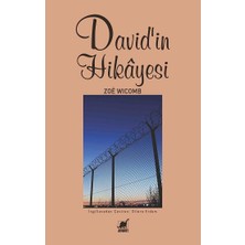 Ayrıntı Yayınları David'in Hikayesi