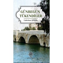 Platanus Publishing Günbegün Tükendiler