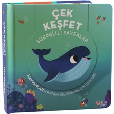 Masalperest Çek Keşfet Hayvanlar