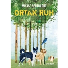 Tudem Yayın Grubu Ortak Ruh  Sisin Sakladıkları-2