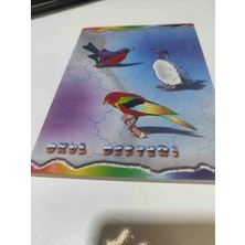 Beks A5 Kareli Defter 80YP, Ciltli, Doğan Marka
