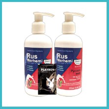 Defne Store Rus Merhemi Glegnid Tüykrem2 Adet x 250 ml Ceviz Sütlü & Cevizli Rus Merhemi + Yanında Jel Dfnbez