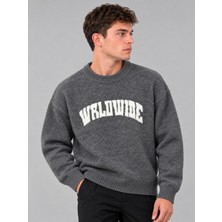 Stil Kombin Baskılı Oversize Örgü Kışlık Kazak Dp 16596_10072