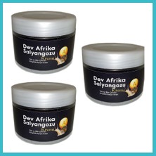 Defne Store Hintohu Yaşlanma Karşıtı Dev Afrika Salyangozu Kremi 100 ml X3 / Anti-Wrinkle Giant African Snail Cream 100 ml x 3 Dfnbez