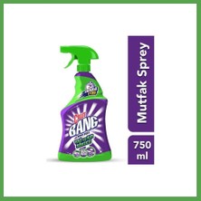 Bezos Sprey Yağ Çözücü 750ML 1 Adet Mgc