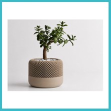 Defne Store 3D Baskı Modern File Desenli Dekoratif Saksı - Minimal Çiçek Saksısı, Ev ve Ofis Bitki Saksısı-Bej Dfnbez