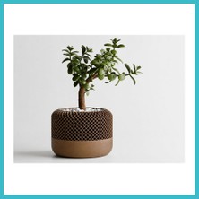Defne Store 3D Baskı Modern File Desenli Dekoratif Saksı - Minimal Çiçek Saksısı, Ev ve Ofis Bitki Saksısı-Kahverengi Dfnbez