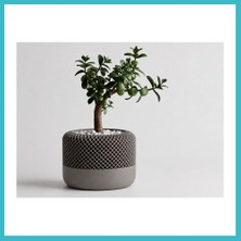 Defne Store 3D Baskı Modern File Desenli Dekoratif Saksı - Minimal Çiçek Saksısı, Ev ve Ofis Bitki Saksısı-Gri Dfnbez