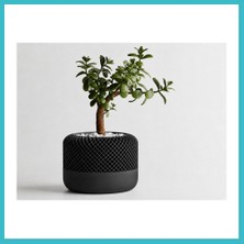 Defne Store 3D Baskı Modern File Desenli Dekoratif Saksı - Minimal Çiçek Saksısı, Ev ve Ofis Bitki Saksısı-Siyah Dfnbez