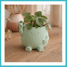 Defne Store 3D Baskı Smiley Face Planter - Gülümseyen Karakterli Saksı-Mint Dfnbez