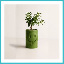 Defne Store 3D Baskı Emoji Planter - Göz Kırpan Yüzlü Sukulent Saksısı-Yeşil Dfnbez