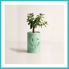 Defne Store 3D Baskı Emoji Planter - Göz Kırpan Yüzlü Sukulent Saksısı-Mint Dfnbez