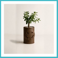 Defne Store 3D Baskı Emoji Planter - Göz Kırpan Yüzlü Sukulent Saksısı-Kahverengi Dfnbez